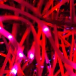 Decoding Cellular Responses: Red and Near-Infrared Light Therapy for Wound Healing