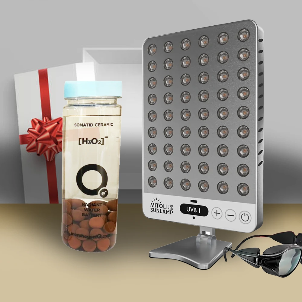 Radiance & Recovery Bundle