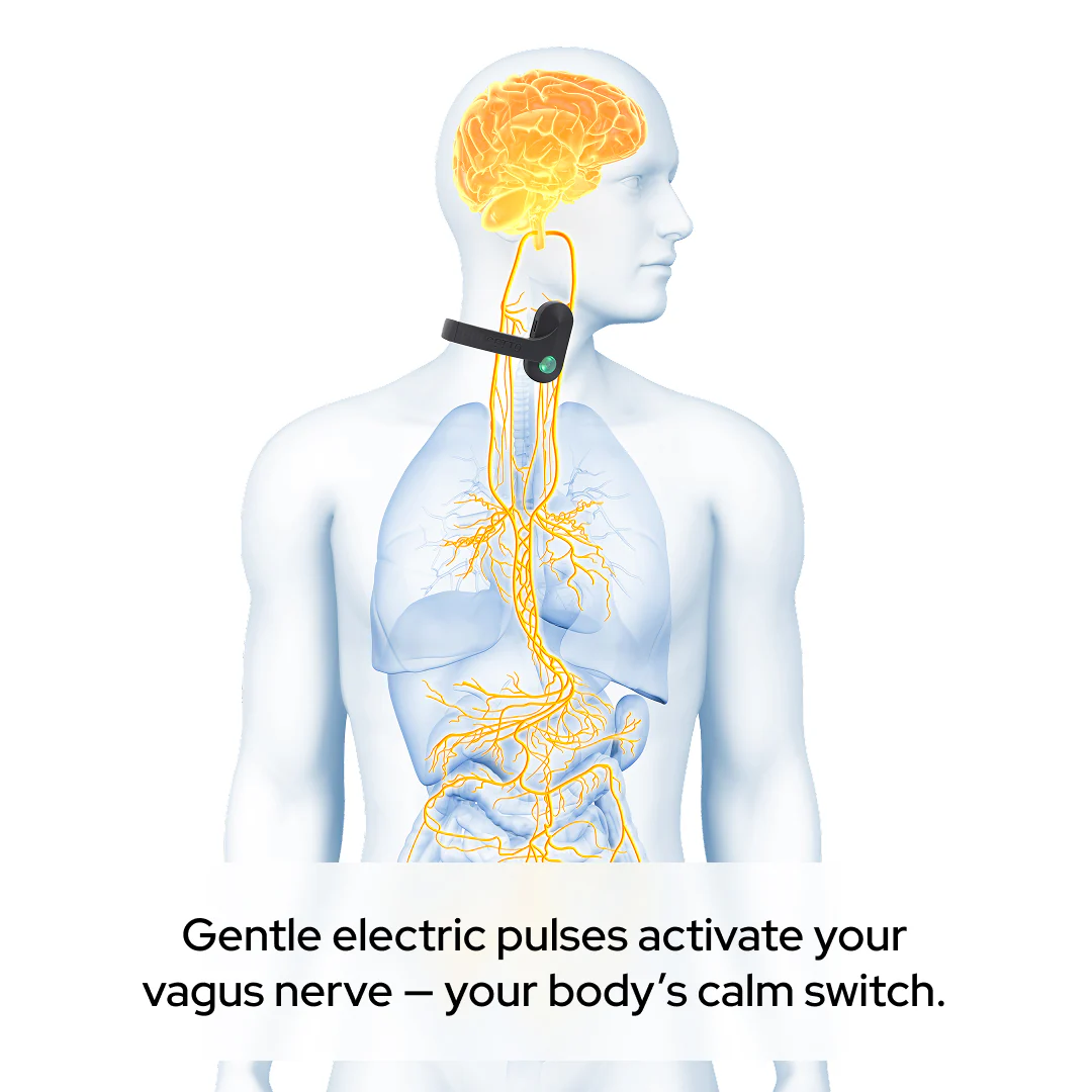 Pulsetto - Vagus nerve stimulator: Help your body feel calm and sleep better in just 4 minutes a day - Image 16